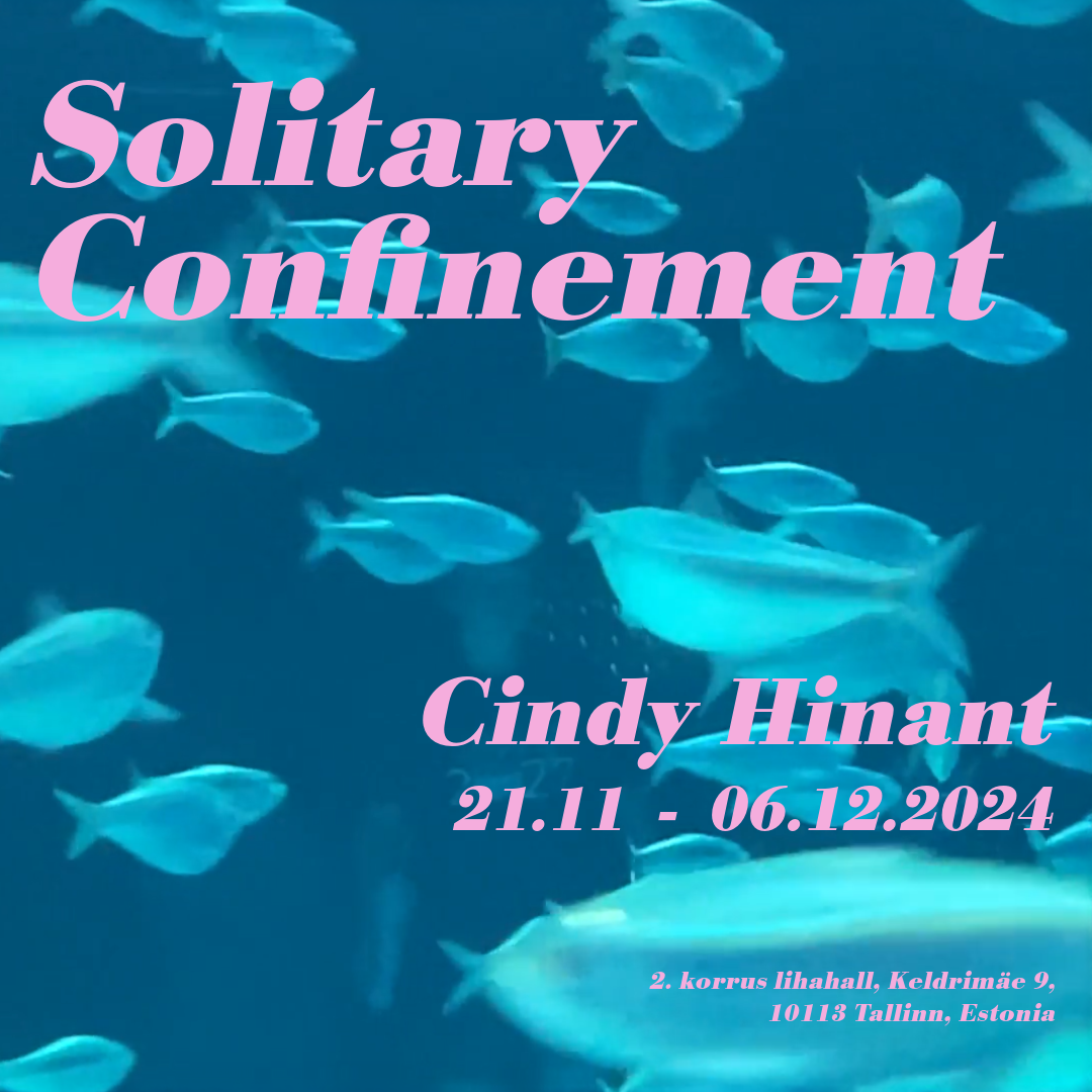 Cindy Hinant